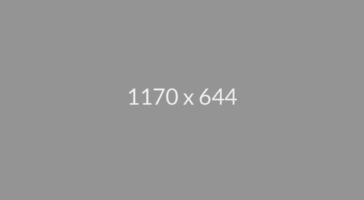 roam_8